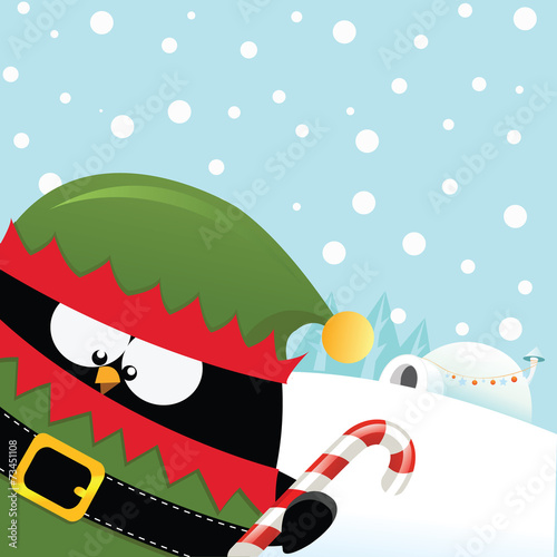 Elf Penguin