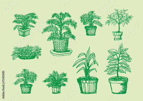 Potted Tree
