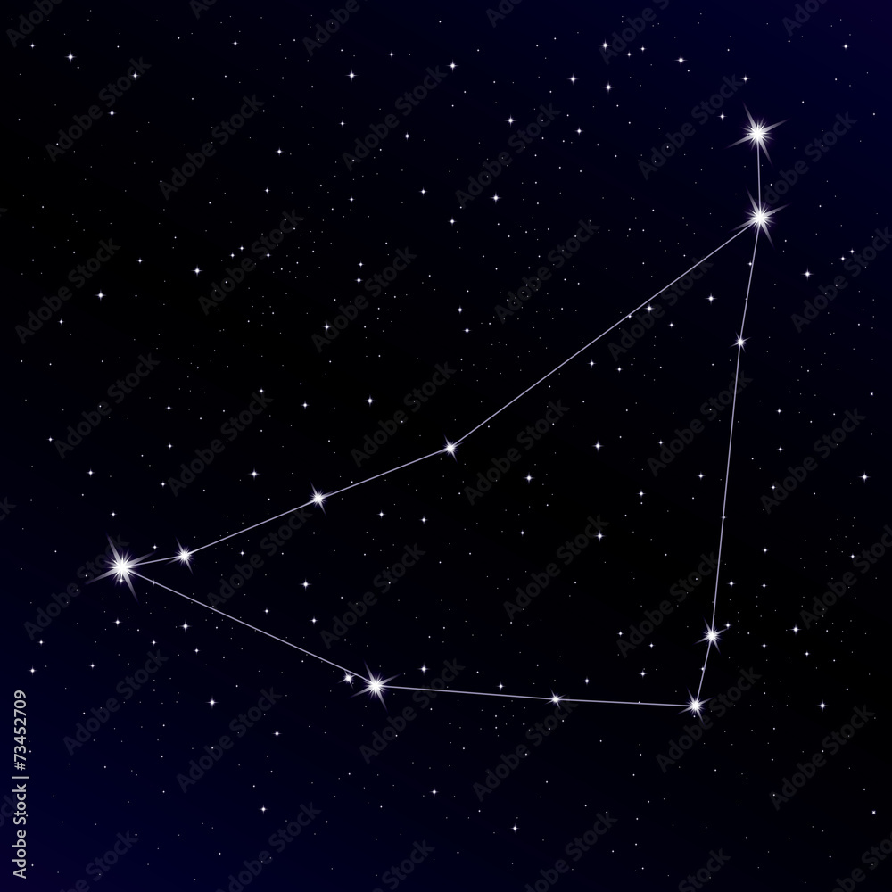Naklejka premium Capricorn constellation