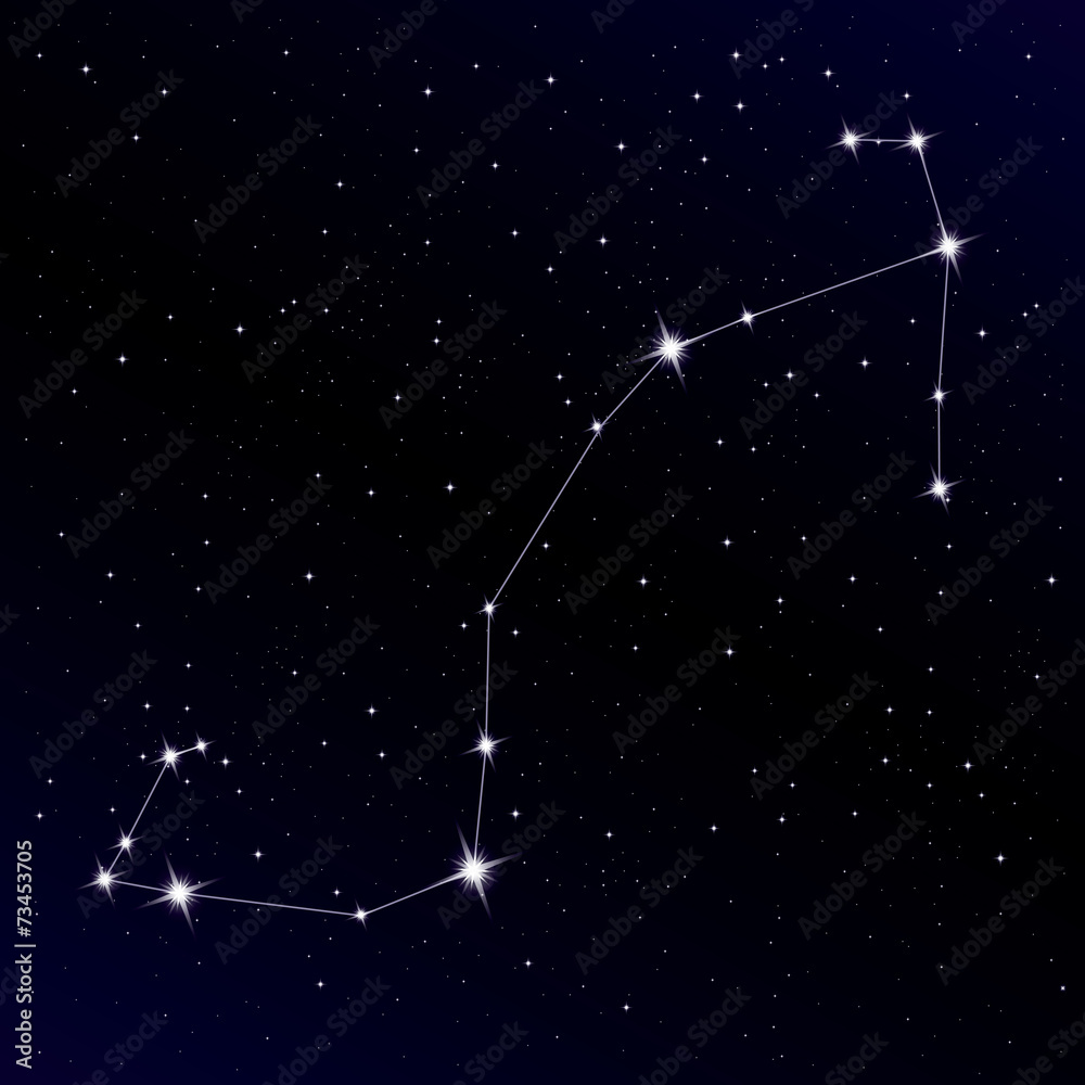 Fototapeta premium Scorpio constellation