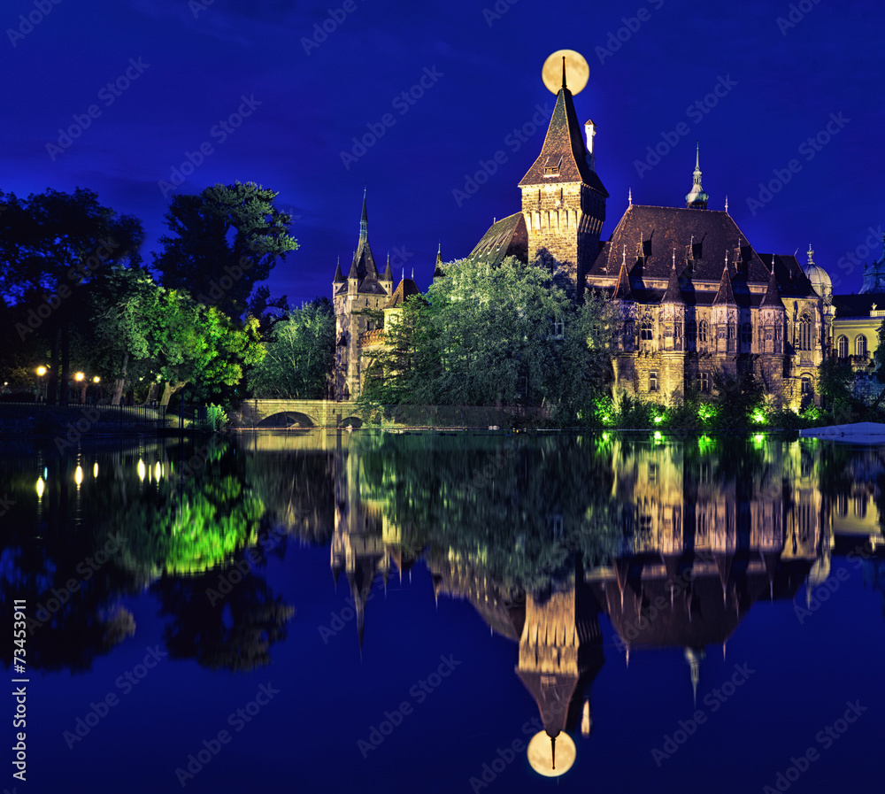 Vajdahunyad Castle in a fullmoon is reflected in water, Budapest