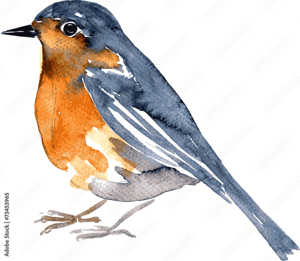 Obraz ptak rysunek akwarela