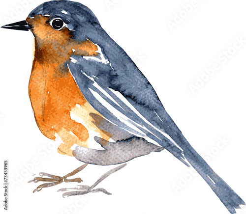 Photo watercolor drawing bird
