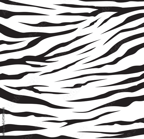 zebra stripes pattern background vector