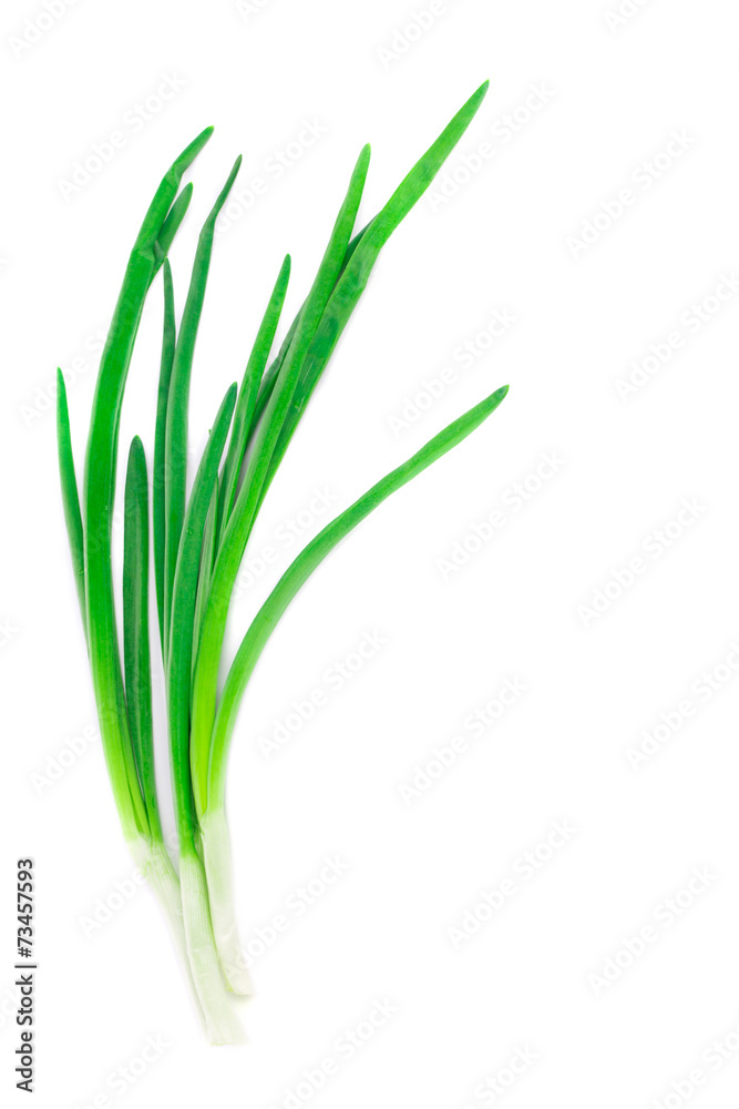 Beautiful spring onions