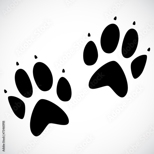 Animal print VECTOR icon.