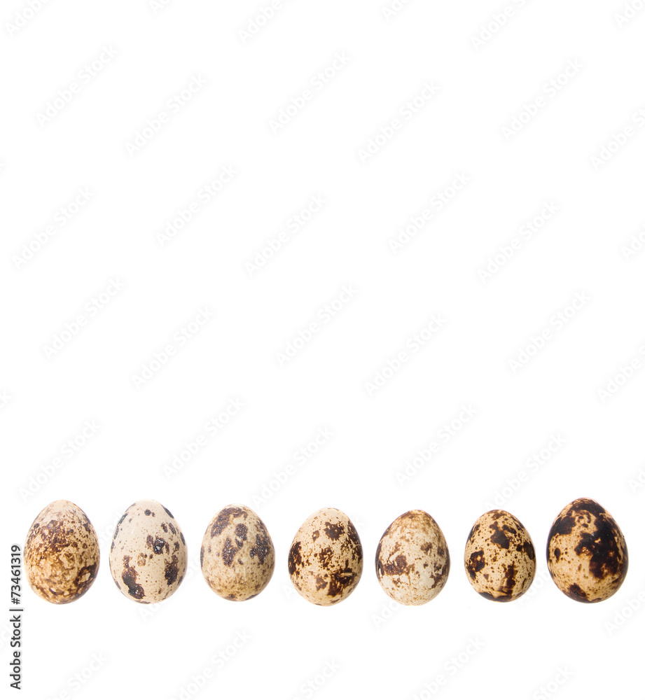 Quail eggs over white background Quail eggs over white background