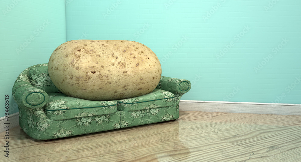 Couch Potato On Old Sofa Stock Photo | Adobe Stock