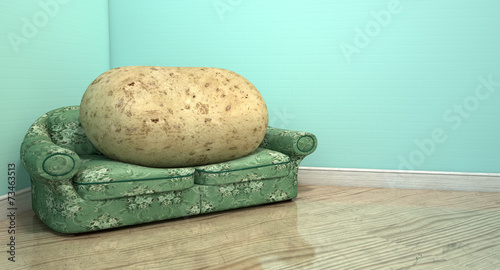 Couch Potato On Old Sofa photo