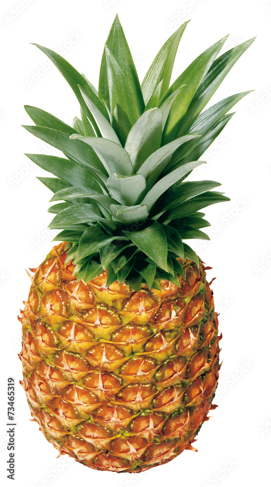 Fototapeta premium Ganze Ananas