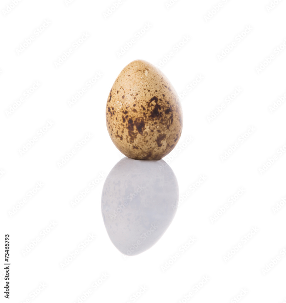 Quail eggs over white background Quail eggs over white background