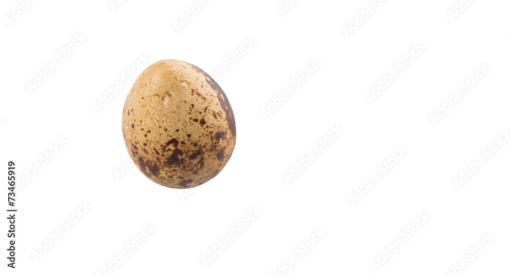 Quail eggs over white background Quail eggs over white background