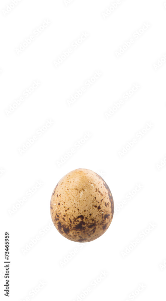 Quail eggs over white background Quail eggs over white background