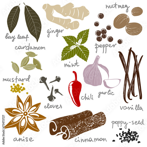 stylized spices