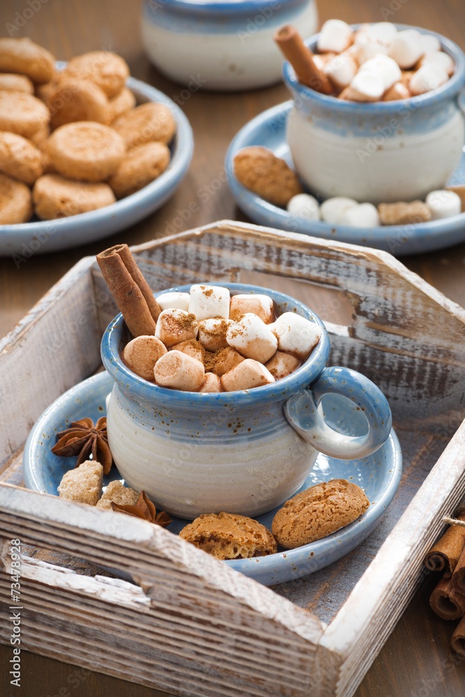 cocoa with marshmallows, cinnamon and spices on wooden tray cocoa with marshmallows, cinnamon and spices on wooden tray