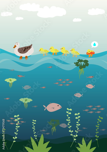 Mother duck teaching her baby to swim