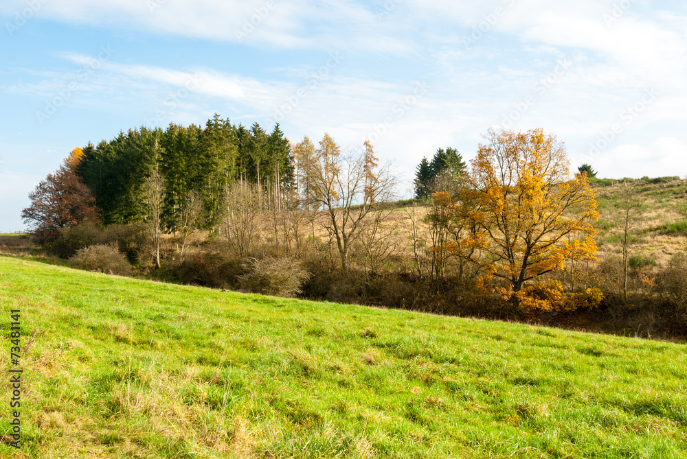 Fototapeta premium Blick auf den Gelängeberg