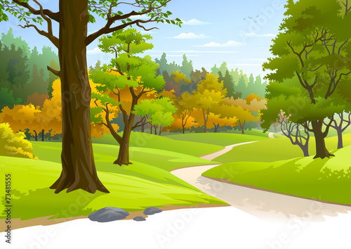 Pathway through a blissful forest