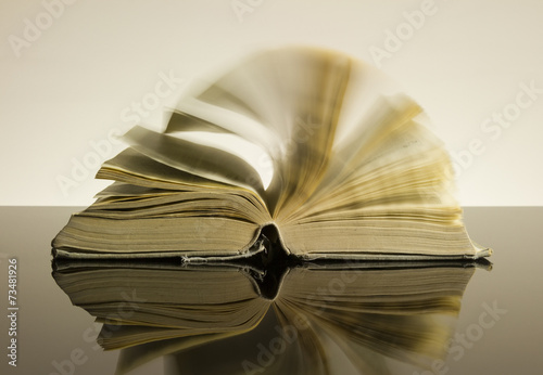 Cuadro en lienzo old vintage book