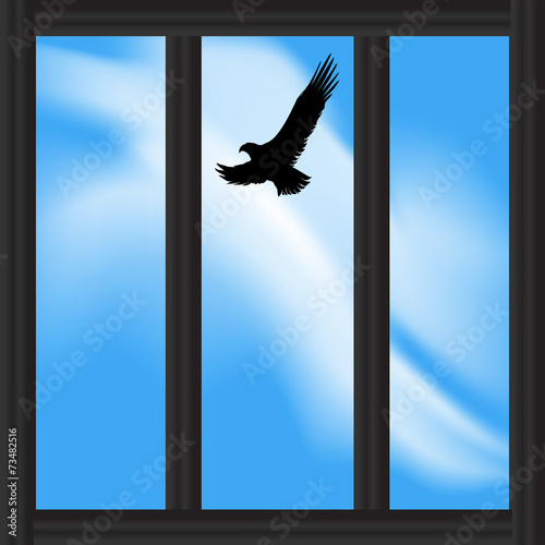 Looking at a Soaring Bird Out of a Prison Window