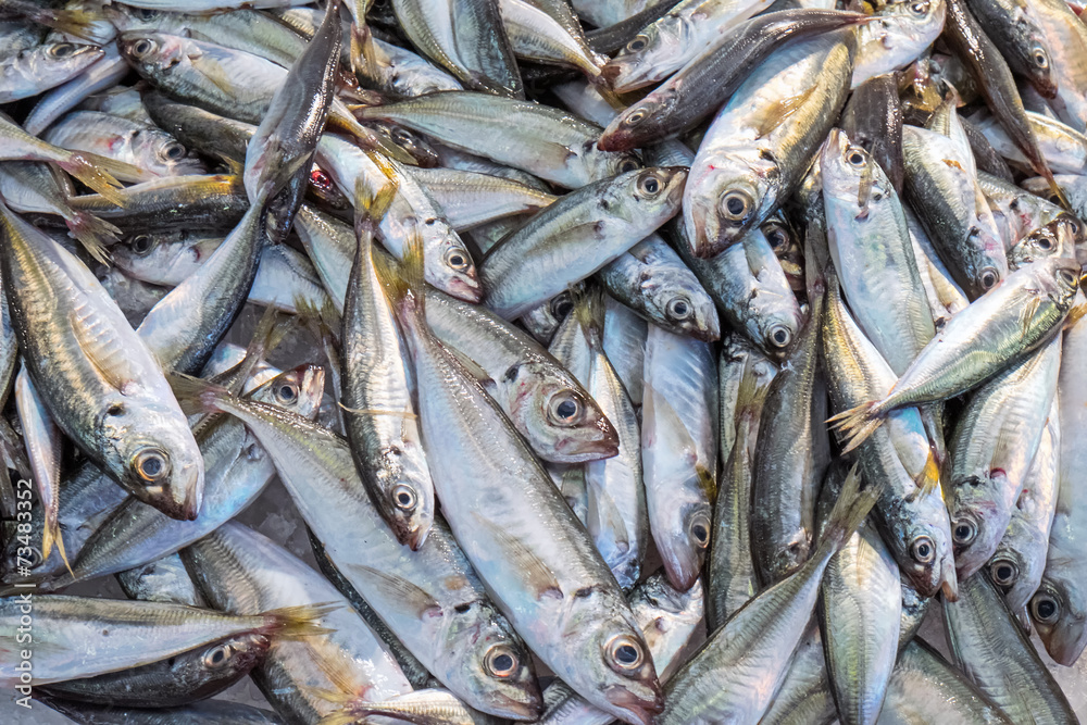 Obraz premium Small fishes for sale at a market