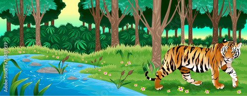 Green forest with a tiger