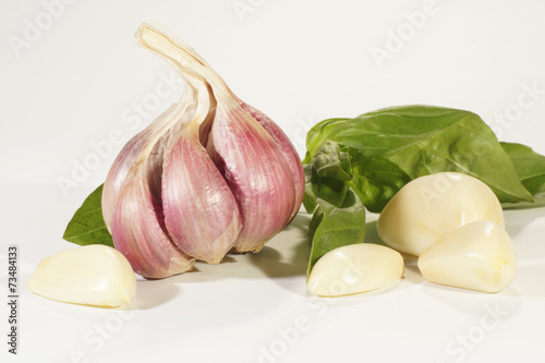 Garlic, Vegetables