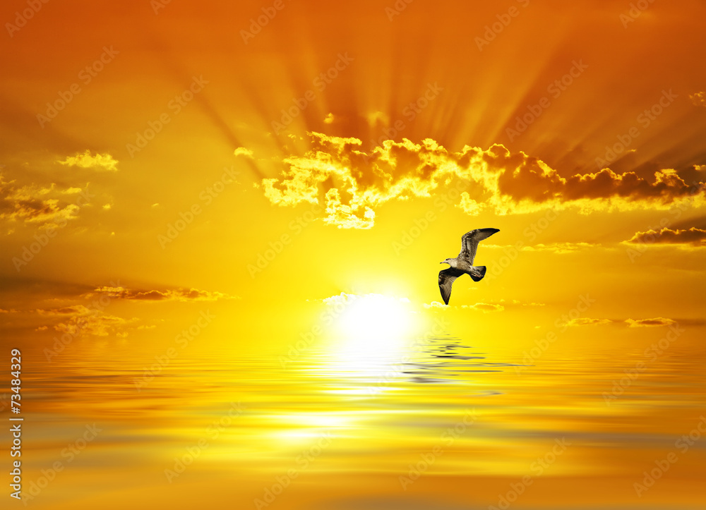 amanecer radiante sobre el mar calmado foto de Stock | Adobe Stock