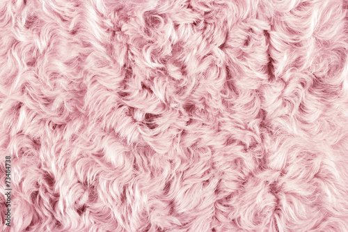 Fashion pink fur background, extreme close-up photo