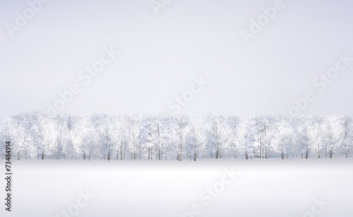 Vector winter snow landscape.
