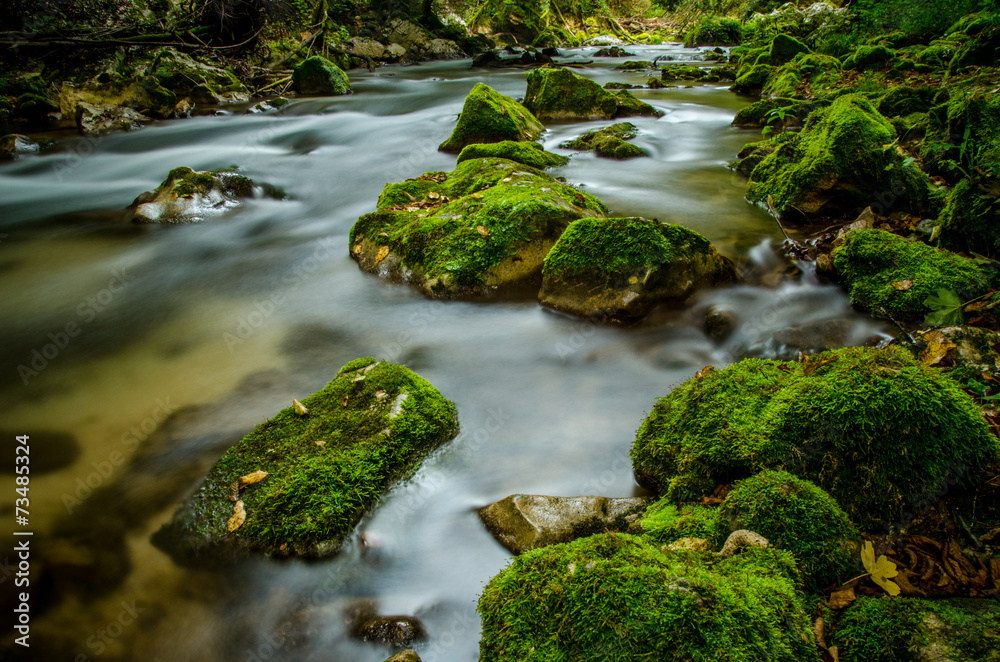 Il fiume Il fiume