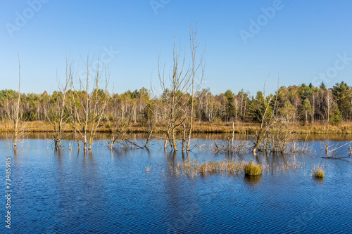 Seelandschaf photo