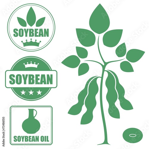 Soybean