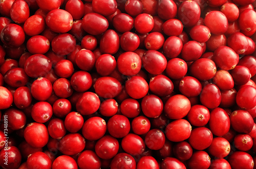 Fresh red cranberries background
