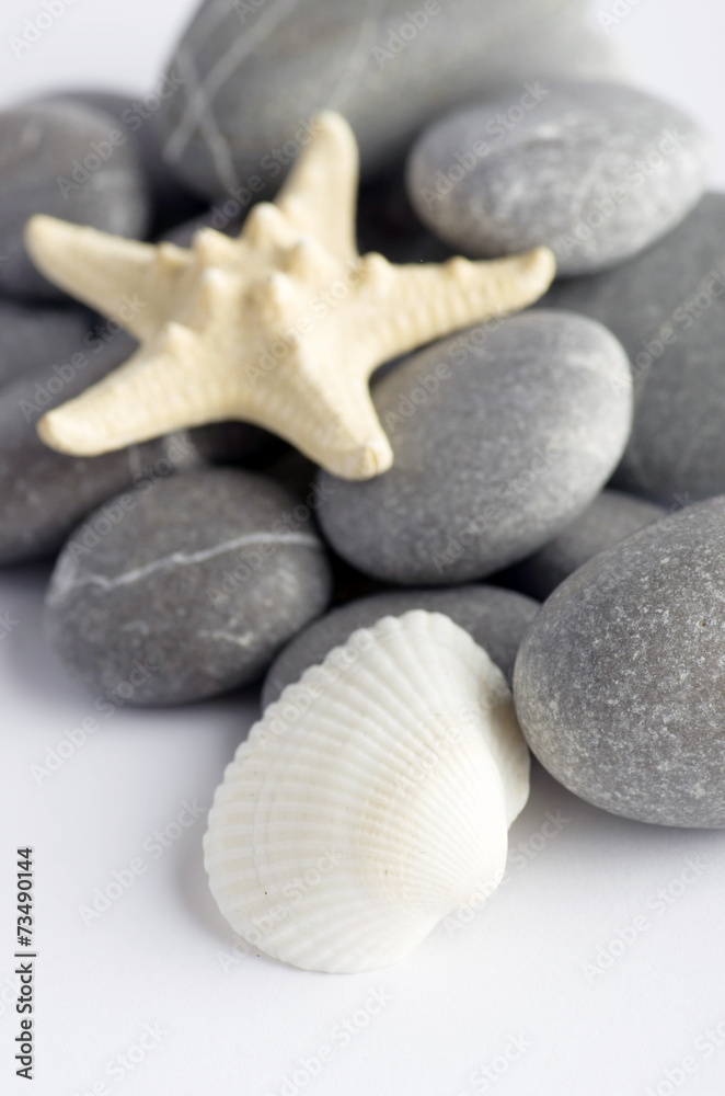 Natural spa elements- seashell with starshell and stones on whit Natural spa elements- seashell with starshell and stones on whit