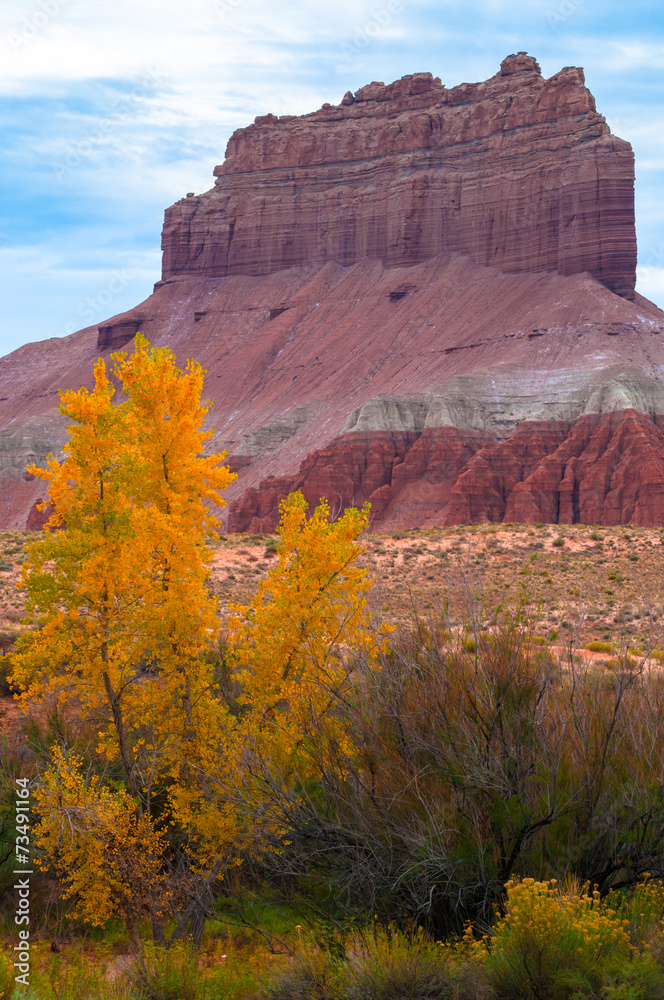 Wild Horse Butte Peak of the Fall in Utah Vertical Composition