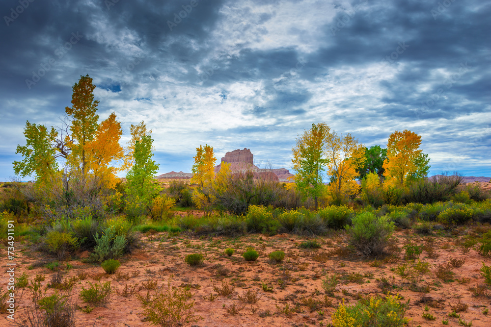 Wild Horse Butte Fall Colors and Beautiful Dramatic Sky Utah Lan