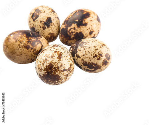Quail eggs over white background