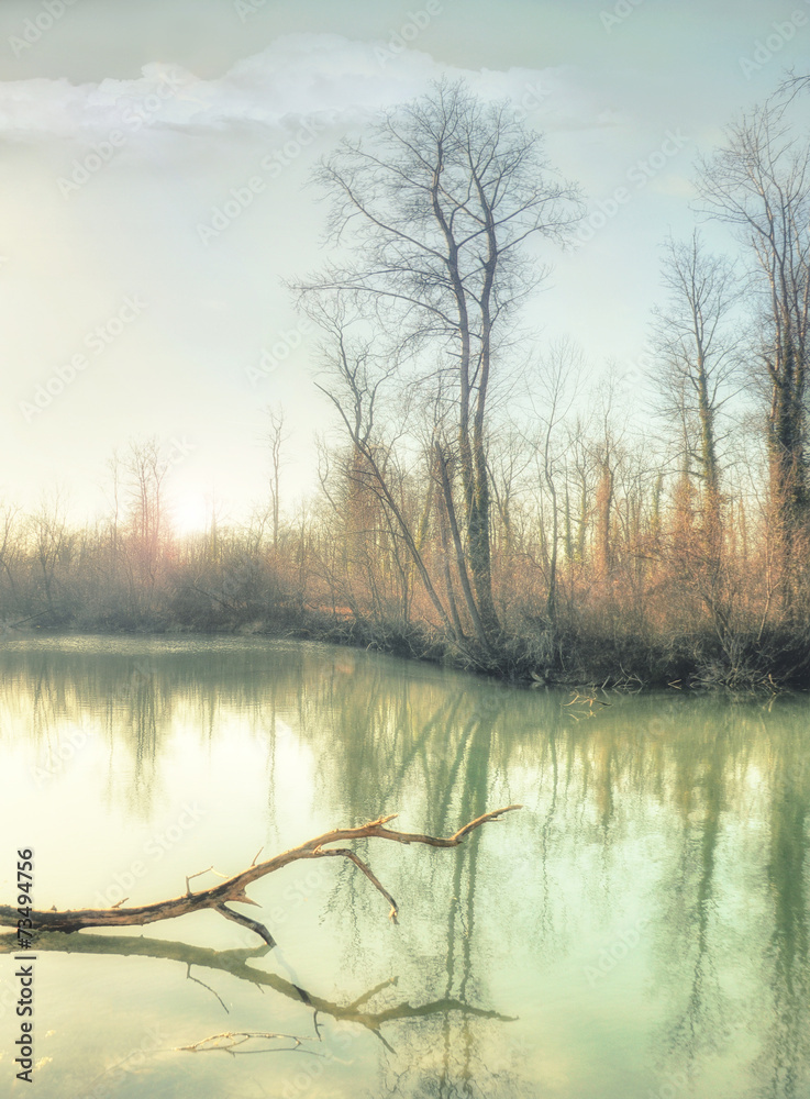 Obraz premium La branche