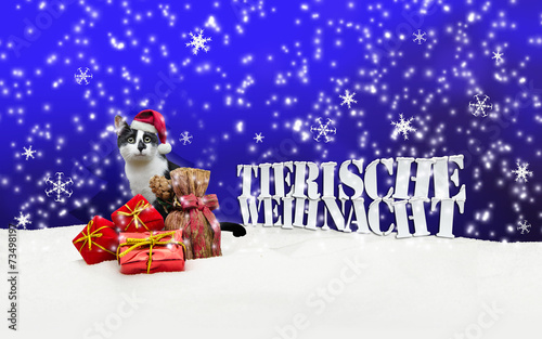 Tierische Weihnacht Cat Christmas Snow © artefacti