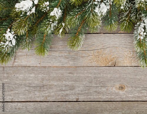 Christmas fir tree on wooden board background
