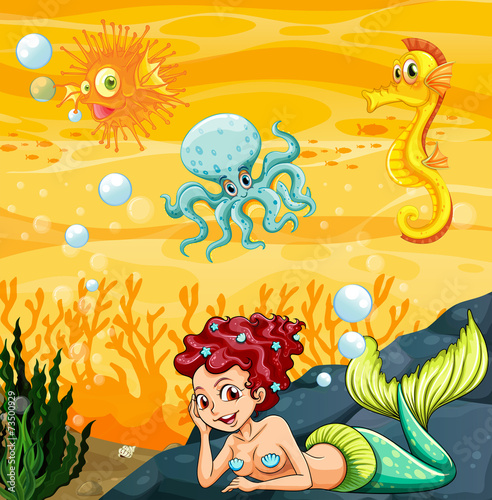 A mermaid under the sea