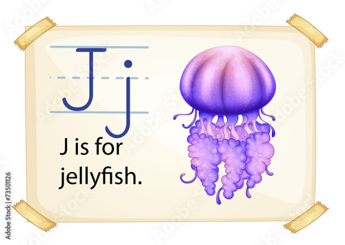 A letter J for jellyfish
