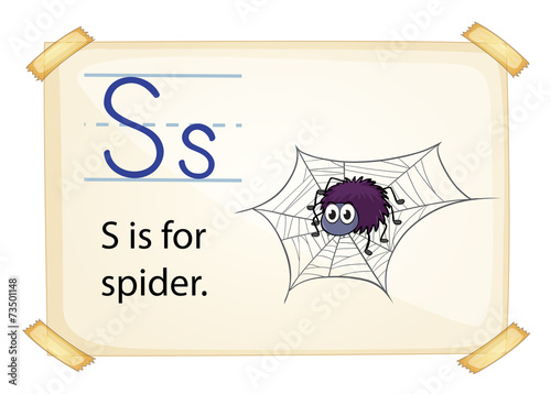 A letter S for spider
