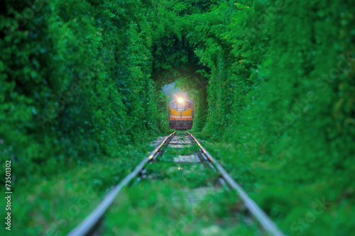 Train running in Natural tunnel