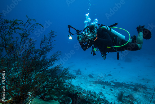 Diver, sea fan Rumphella sp. in Derawan, Kalimantan underwater