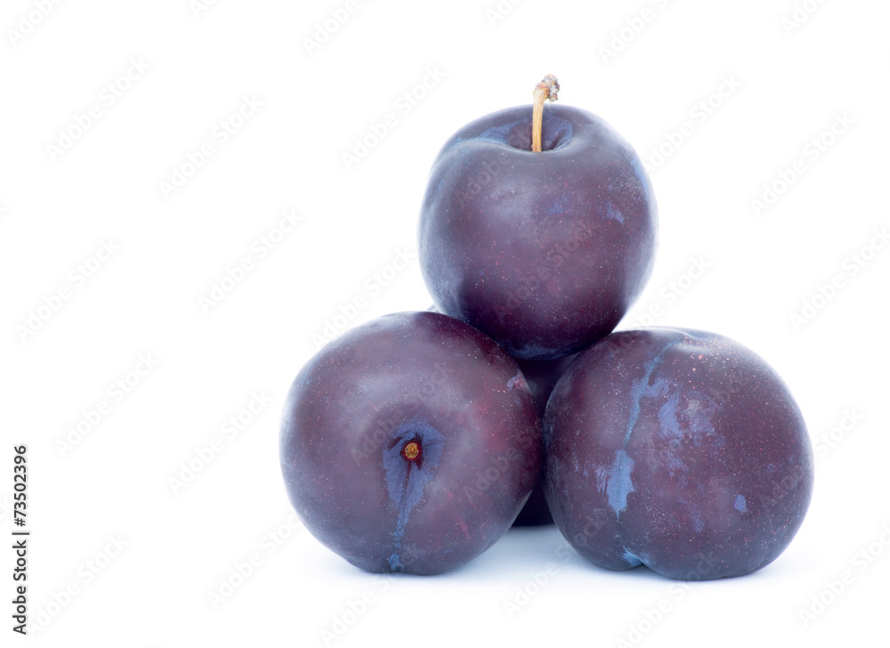 Obraz premium plum