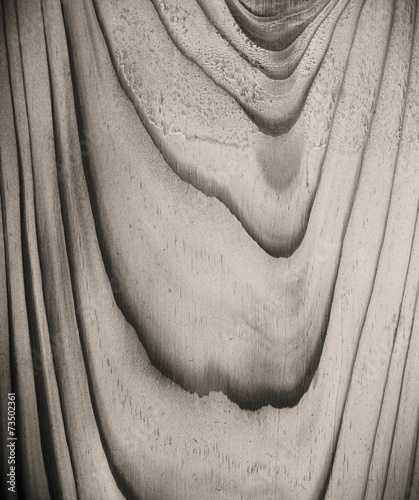 Texture of wood background closeup