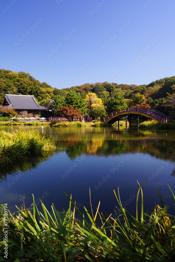 Obraz premium 称名寺 庭園