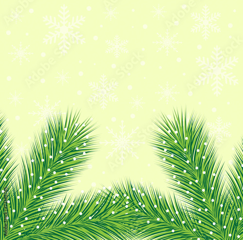 christmas background with the sprigs of fir-tree